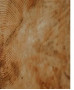 Cabine Acoustique Cabines Acoustiques