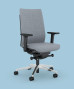 Fauteuil Ergonomique F1