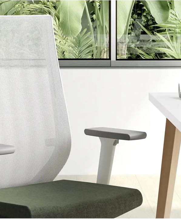 Fauteuil Ergonomique Eben
